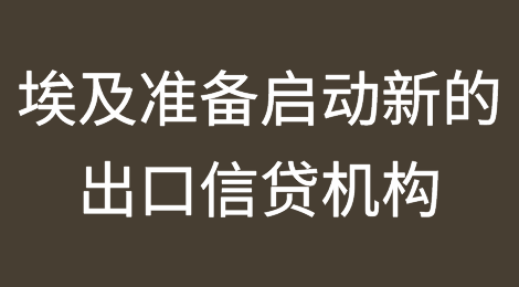 埃及准备启动新的出口信贷机构