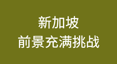新加坡：国际环境不佳，前景充满挑战
