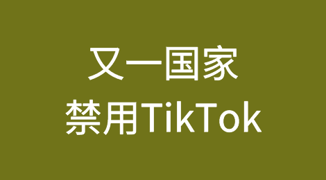 破坏社会和谐？又一国家禁用TikTok