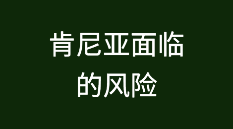 肯尼亚面临货币疲软和债务增加的风险