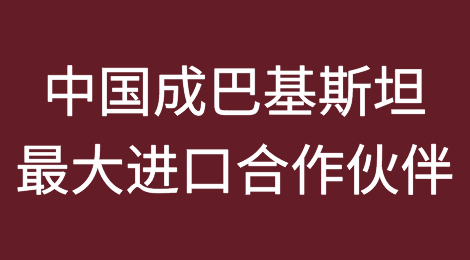 中国在24财年10月成为巴基斯坦第一大进口合作伙伴