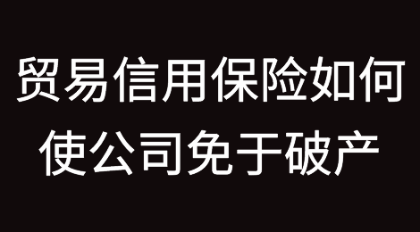 贸易信用保险如何使公司免于破产