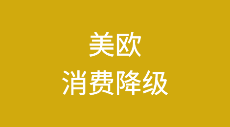 美欧消费降级，中国跨境电商攻城略地