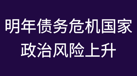 明年债务危机国家的政治风险将上升