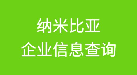 如何在线查询纳米比亚企业的信息丨纳米比亚企业注册登记信息查询的方法