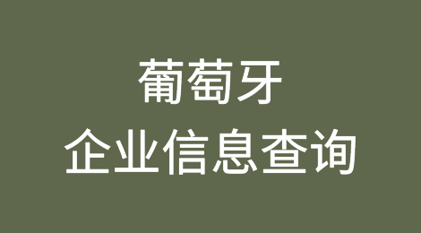 如何在线查询葡萄牙企业的信息丨葡萄牙企业注册登记信息查询的方法