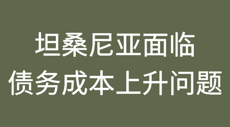 坦桑尼亚和其他国家面临着与全球挑战相同的债务成本上升问题