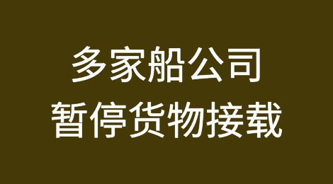 多家船公司宣布红海航线停航或暂停订舱拒接货物