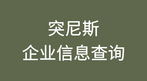 如何在线查询突尼斯企业的信息丨突尼斯企业注册登记信息查询的方法