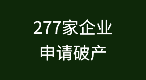 2023年波多黎各277家企业申请破产