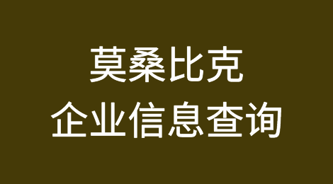 如何在线查询莫桑比克企业的信息丨莫桑比克企业注册登记信息查询的方法