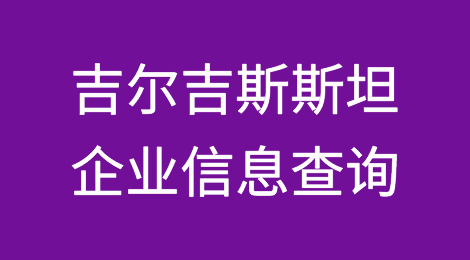如何在线查询吉尔吉斯斯坦企业的信息丨吉尔吉斯斯坦企业注册登记信息查询的方法