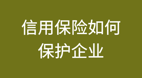 信用保险如何保护您自己的企业？