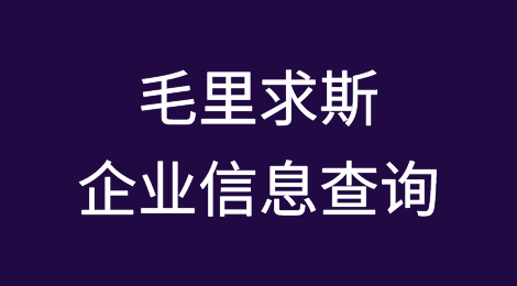 如何在线查询毛里求斯企业的信息丨毛里求斯企业注册登记信息查询的方法