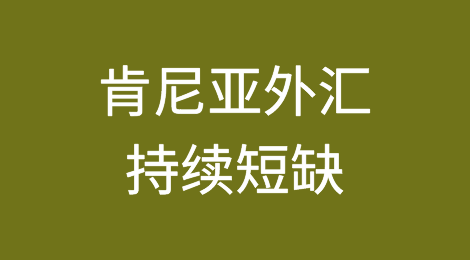 肯尼亚外汇持续短缺，美元贷款违约激增