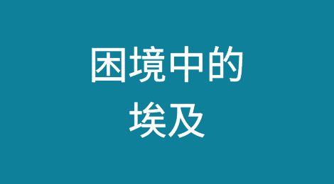 埃及外贸预警丨埃镑暴跌、通胀高企，大量中产一夜返贫！
