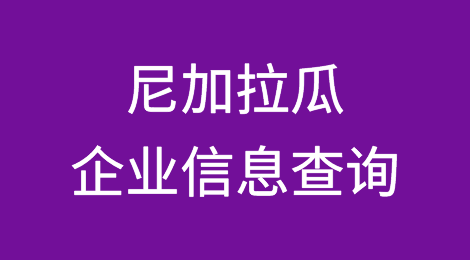 如何在线查询尼加拉瓜企业的信息丨尼加拉瓜企业注册登记信息查询的方法