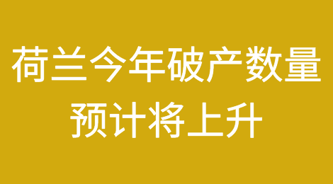 荷兰今年的破产数量预计将上升