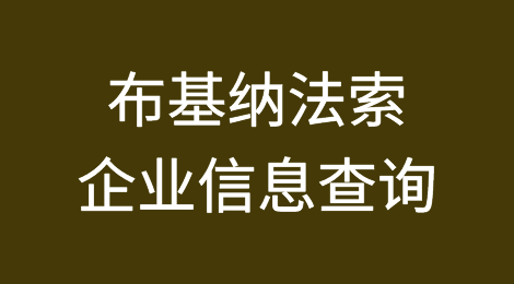 如何在线查询布基纳法索企业的信息丨布基纳法索企业注册登记信息查询的方法