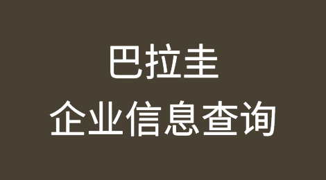 如何在线查询巴拉圭企业的信息丨巴拉圭企业注册登记信息查询的方法