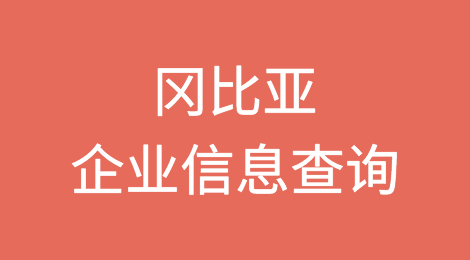 如何在线查询冈比亚企业的信息丨冈比亚企业注册登记信息查询的方法