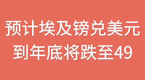 预计埃及镑兑美元到2024年底将跌至49