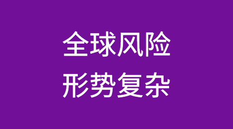 全球风险形势复杂，历史经验即将无效