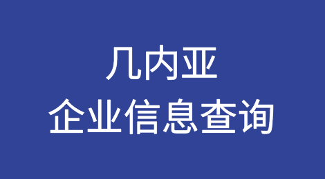 如何在线查询几内亚企业的信息丨几内亚企业注册登记信息查询的方法