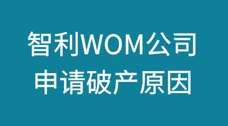 智利WOM公司申请破产原因分析