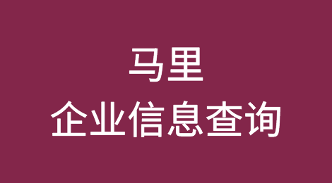 如何在线查询马里企业的信息丨马里企业注册登记信息查询的方法