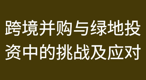 跨境并购与绿地投资中的挑战及应对