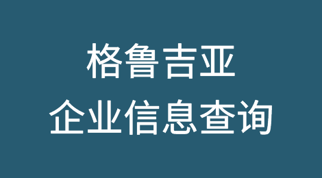 如何在线查询格鲁吉亚企业的信息丨格鲁吉亚企业注册登记信息查询的方法