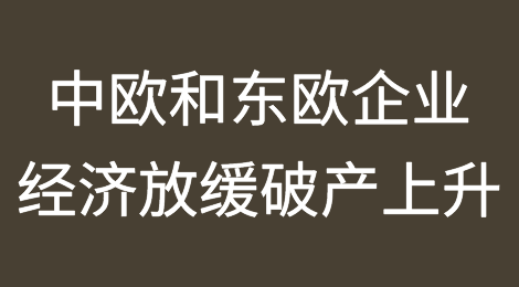 经济放缓和破产数量上升：中欧和东欧企业前景如何？