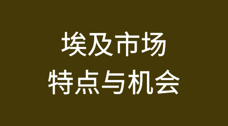 埃及市场的特点与机会