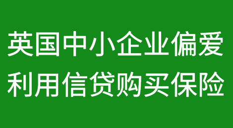 英国规模较大的中小企业更倾向于利用信贷购买保险