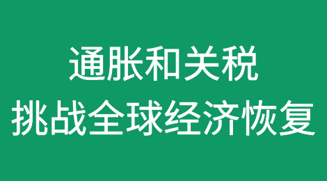 2024年5月全球通胀和关税挑战对恢复性增长构成不利因素