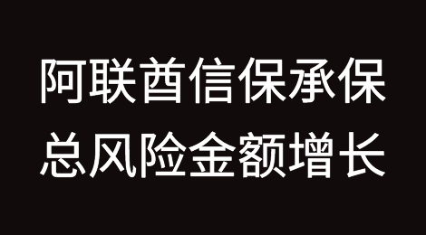 阿联酋Etihad信用保险公司5年承保总风险金额增长21倍