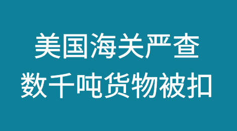 美国海关严查，数千吨货物被扣，多家清关公司业务被关停