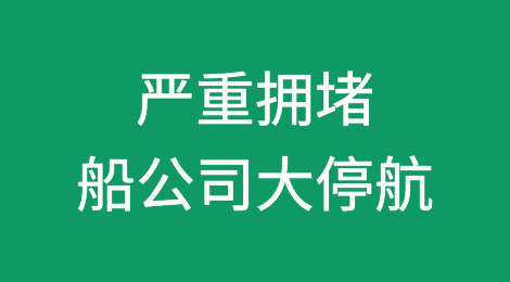 严重拥堵！船公司大停航！上海港面临三年来最大挑战！