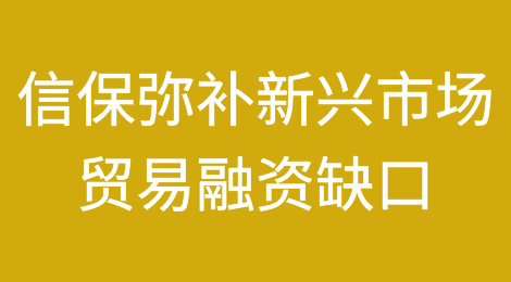 信用保险如何弥补新兴经济体的贸易融资缺口？