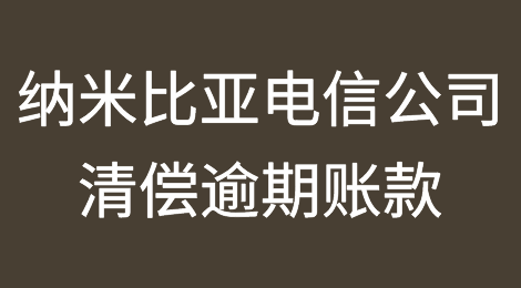 纳米比亚电信公司聘请讨债公司清偿逾期账款