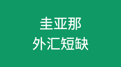 圭亚那银行向商业银行注资8000万美元以解决外汇短缺问题