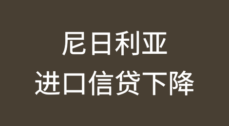 尼日利亚2024年第一季度货物进口信贷下降62%