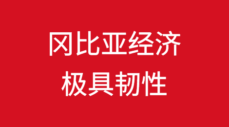 冈比亚经济极具韧性