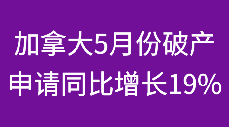 加拿大5月份破产申请量与去年同期相比增长19%