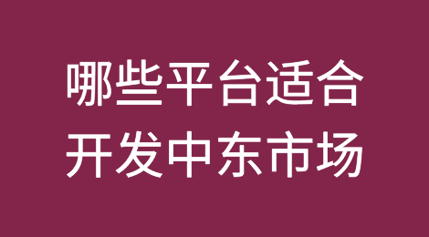 哪些平台适合开发中东市场？