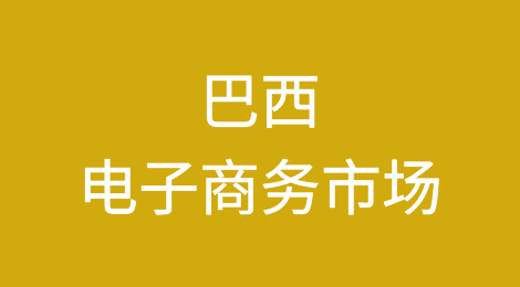 巴西电子商务市场的竞争与差异化策略