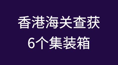 违法走私！6个集装箱，2亿多，涉案人员被捕