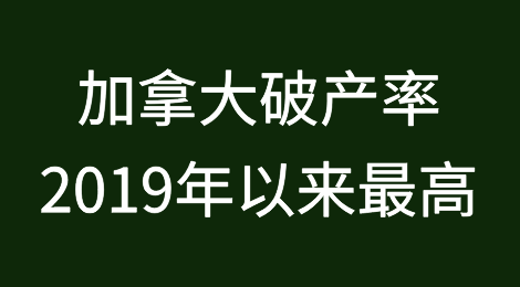加拿大破产率为2019年以来最高