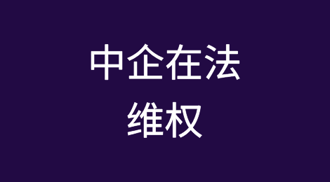 中国企业：通过司法在法国扣押尼日利亚总统专机及两处物业